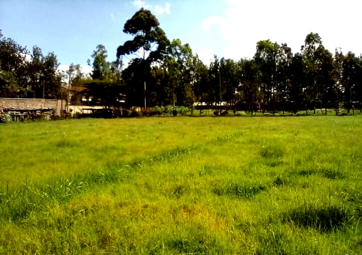 KSh 58M Karen Plot