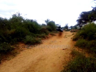 Kajiado Bisil - Image 6