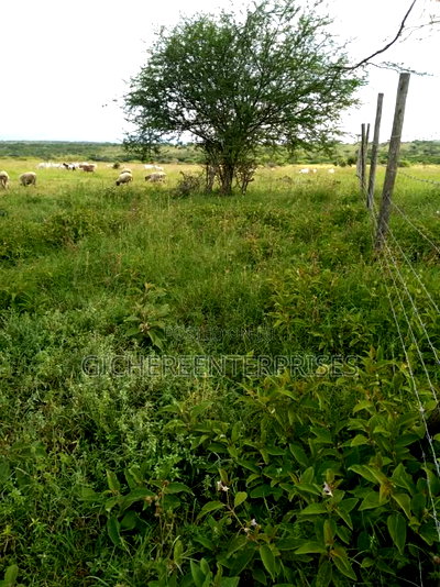 Kajiado Bisil - Image 1