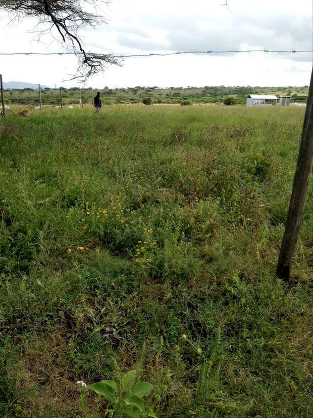 Kajiado Bisil