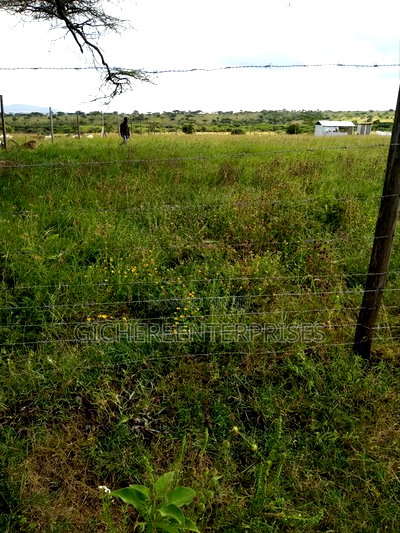 Kajiado Bisil - Image 3