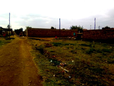 50 X 100 Commercial Plot at Gitambaya Estate Ruiru - Image 6