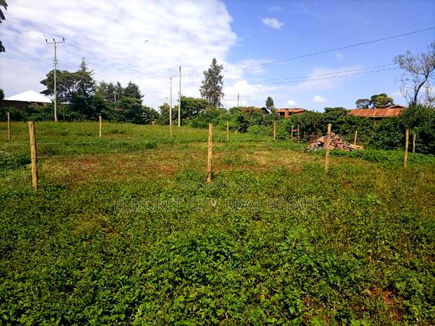 1/8 Plot Kimumu Betterfar 100 Metres From Tarmac