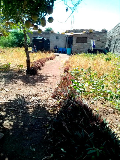 Eighth Plot for Sale With a 2br House - Image 11