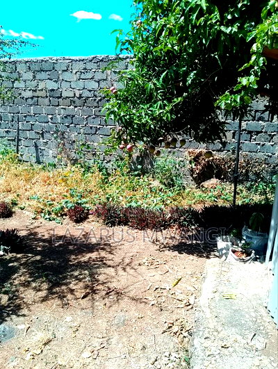 Eighth Plot for Sale With a 2br House - Image 13