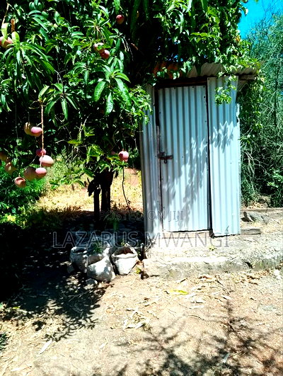 Eighth Plot for Sale With a 2br House - Image 14