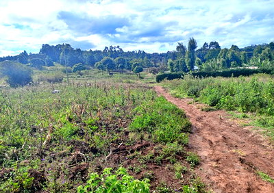KSh 2.3M Plot in Karai