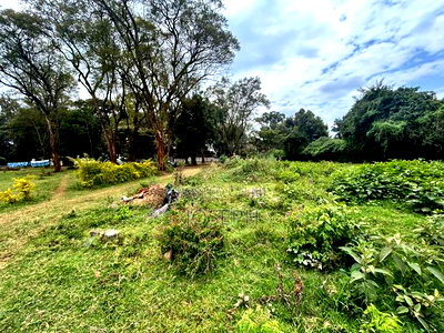 Karen Kephis 0.5acres for Sale - Image 6