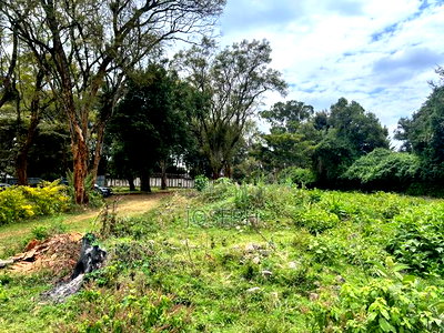 Karen Kephis 0.5acres for Sale - Image 7