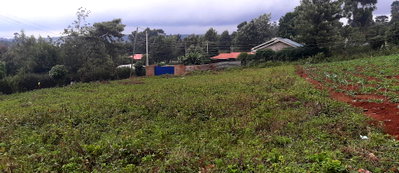 Half Acre Garden Plot in Kikuyu