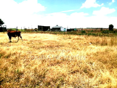 50*100 Plot for Sale at Sobea Ngata Area - Image 4