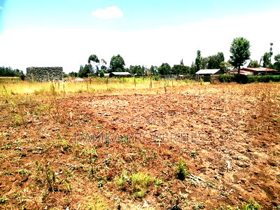 50*100 Plot for Sale at Sobea Ngata Area - Image 3