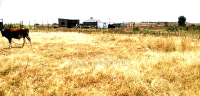 50*100 Plot for Sale at Sobea Ngata Area - Image 1