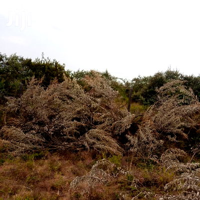 1 Acre Olkudate at 1.8m Per Acre - Image 16