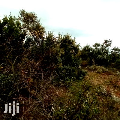 1 Acre Olkudate at 1.8m Per Acre - Image 2