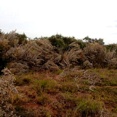 1 Acre Olkudate at 1.8m Per Acre - Image 10