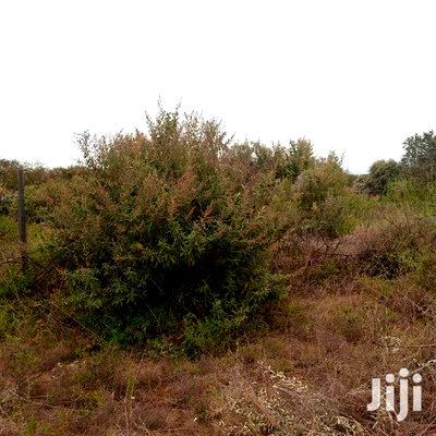 1 Acre Olkudate at 1.8m Per Acre - Image 11