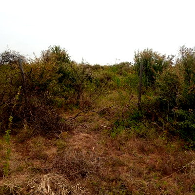1 Acre Olkudate at 1.8m Per Acre - Image 12