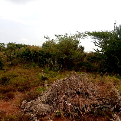 1 Acre Olkudate at 1.8m Per Acre - Image 6