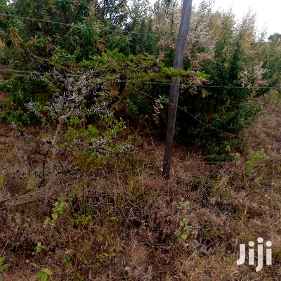 1 Acre Olkudate at 1.8m Per Acre - Image 1