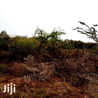 1 Acre Olkudate at 1.8m Per Acre - Image 8