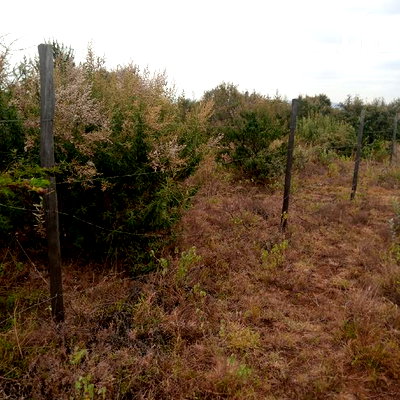 1 Acre Olkudate at 1.8m Per Acre - Image 5