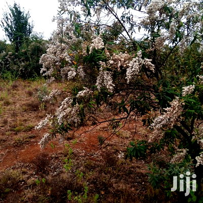 1 Acre Olkudate at 1.8m Per Acre - Image 4