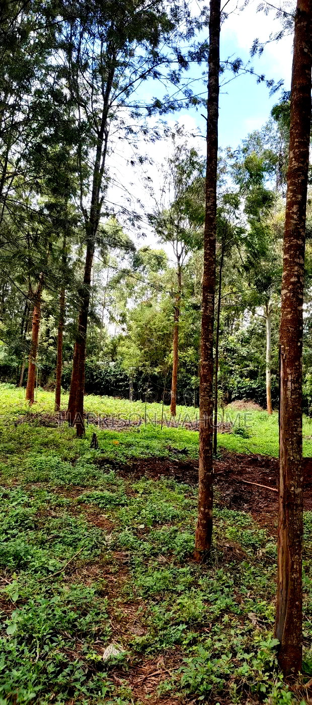 50*100 Plot for Sale in Ngong Kibiko