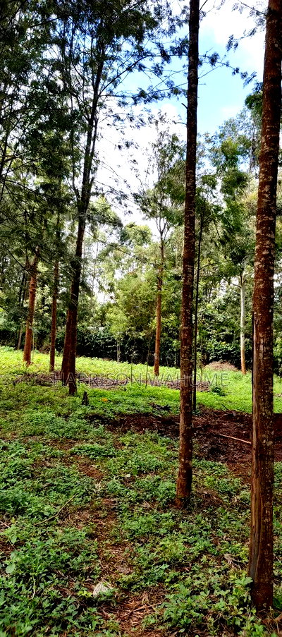 50*100 Plot for Sale in Ngong Kibiko - Image 4