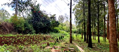 50*100 Plot for Sale in Ngong Kibiko - Image 2