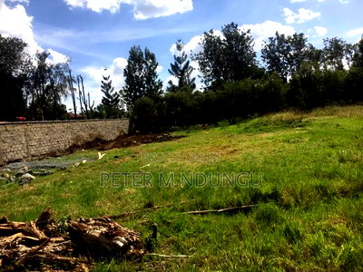 Thome Residential Plot on Sale - Image 1