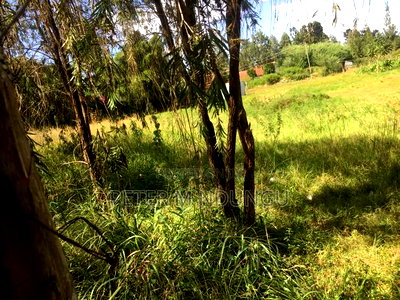 Thome Residential Plot on Sale - Image 4