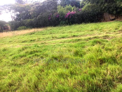 Thome Residential Plot on Sale - Image 3