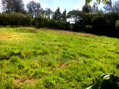 Thome Residential Plot on Sale - Image 2