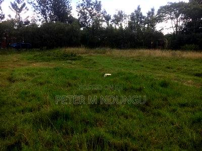 Thome Residential Plot on Sale - Image 6