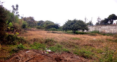 Quarter Acre Garden Plot with Parking at KSh 16M