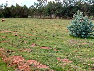 Excellent 50x100 Plots in Nyandarua - Image 1