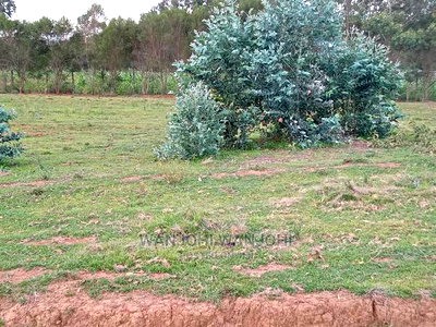 Excellent 50x100 Plots in Nyandarua - Image 3