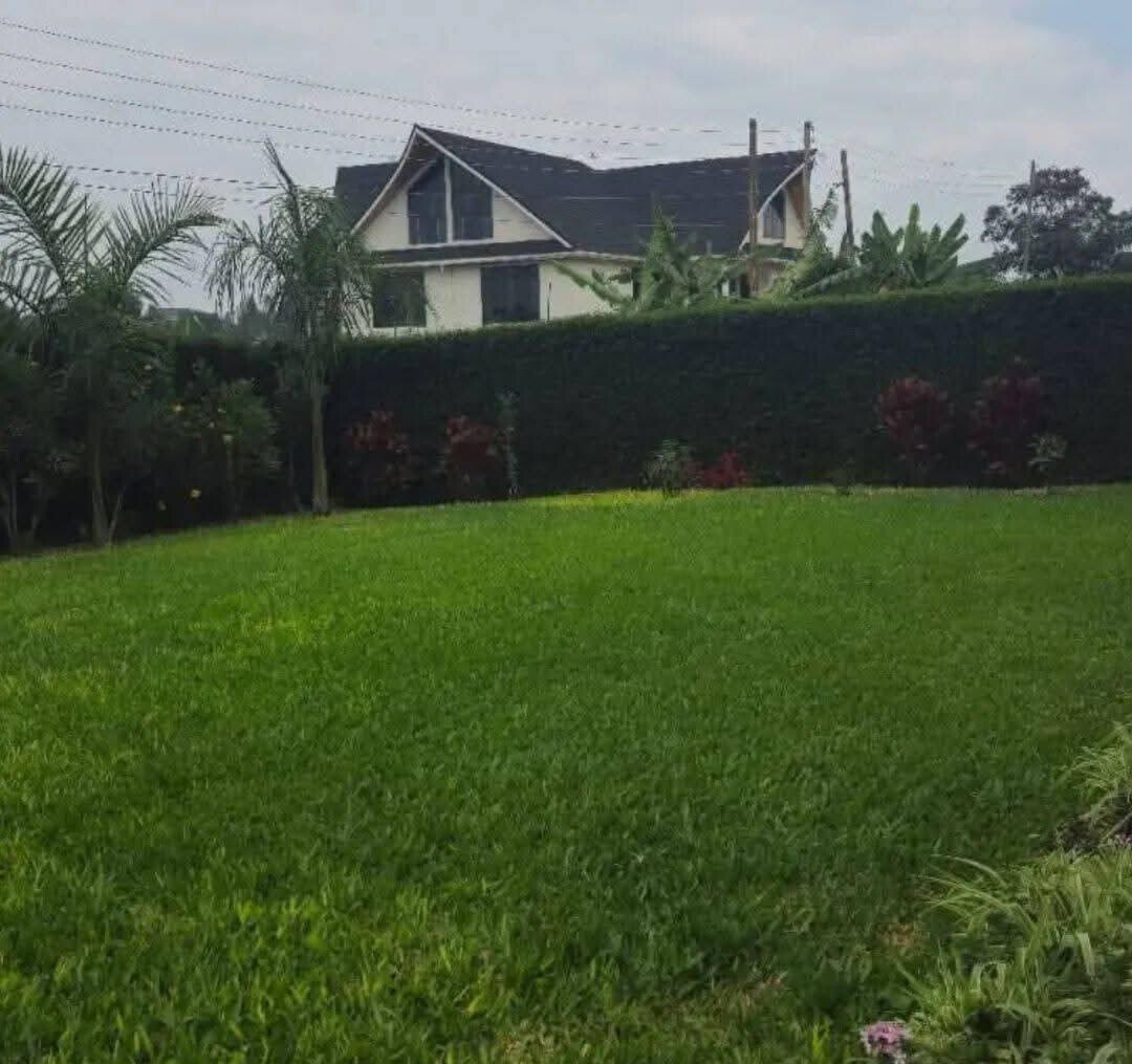 Quarter-Acre All-Ensuite Mansion in Dykio Bustani - Ruiru