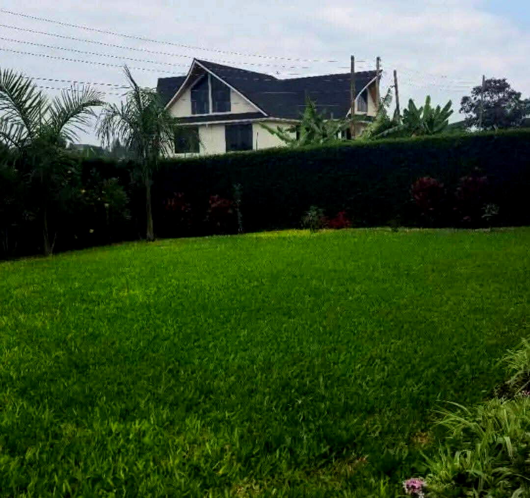 Quarter-Acre All-Ensuite Mansion in Dykio Bustani - Ruiru