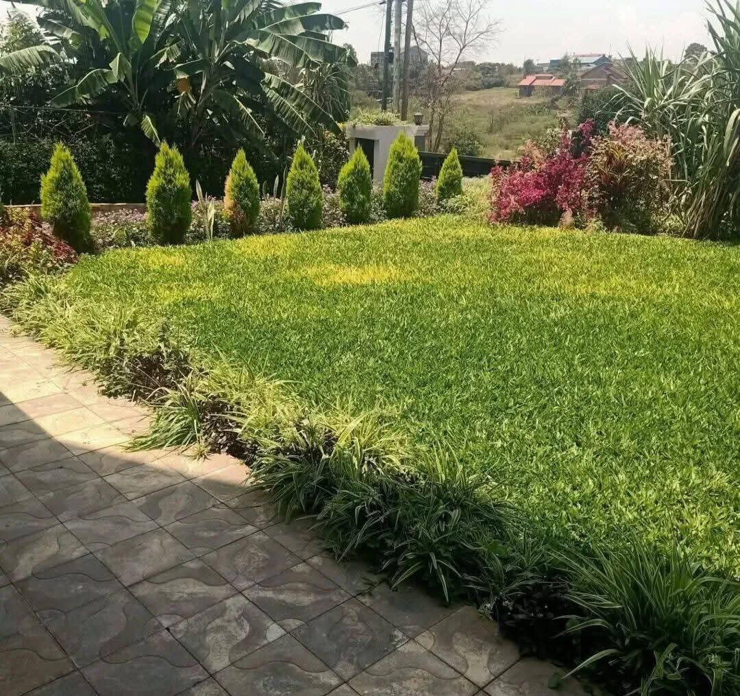 Quarter-Acre All-Ensuite Mansion in Dykio Bustani - Ruiru