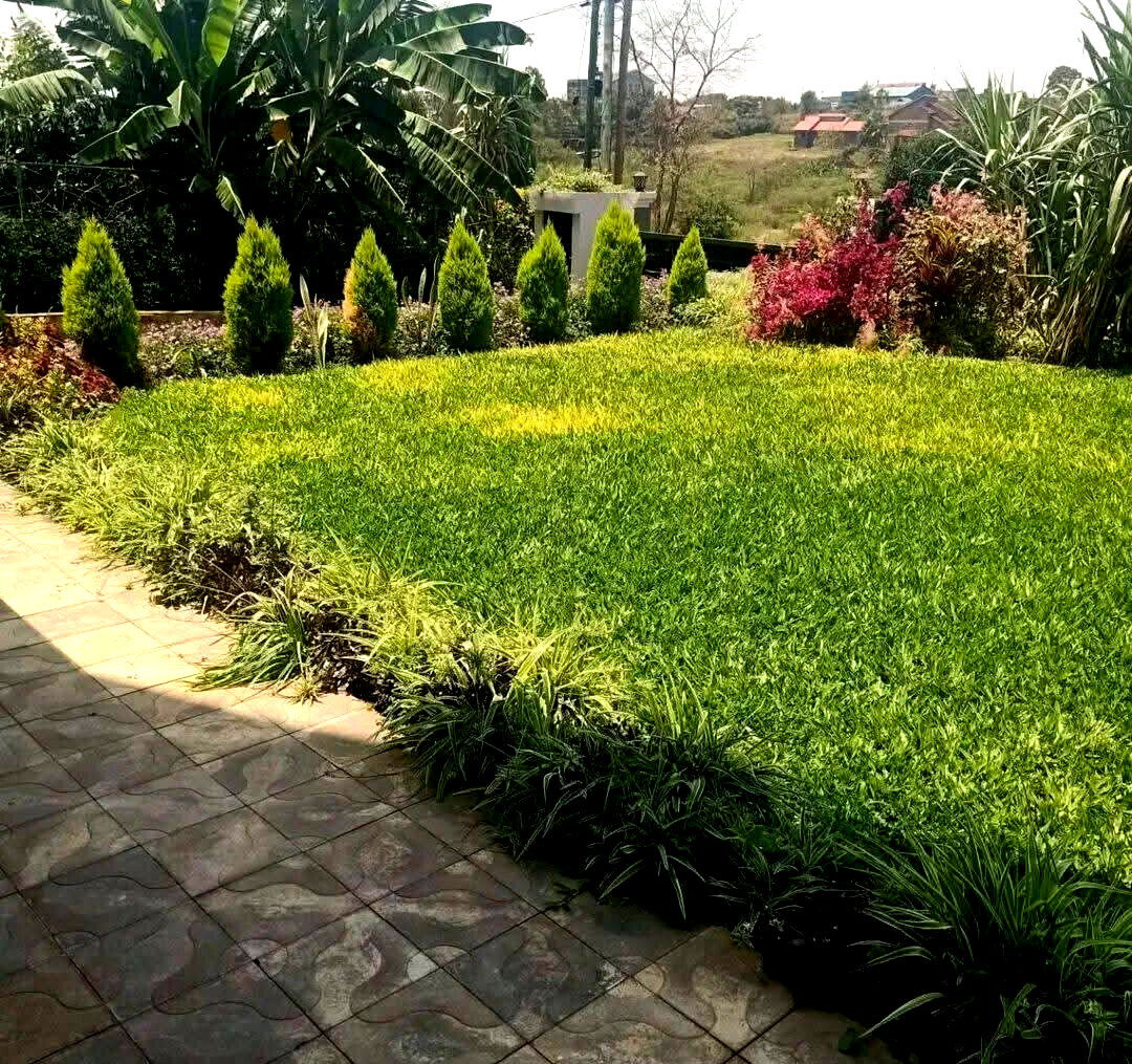 Quarter-Acre All-Ensuite Mansion in Dykio Bustani - Ruiru