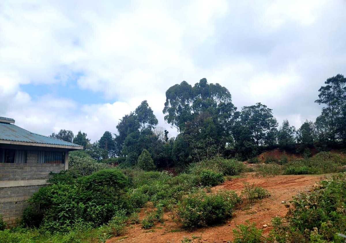 10-Acre Redhill Gem at KSh 250M