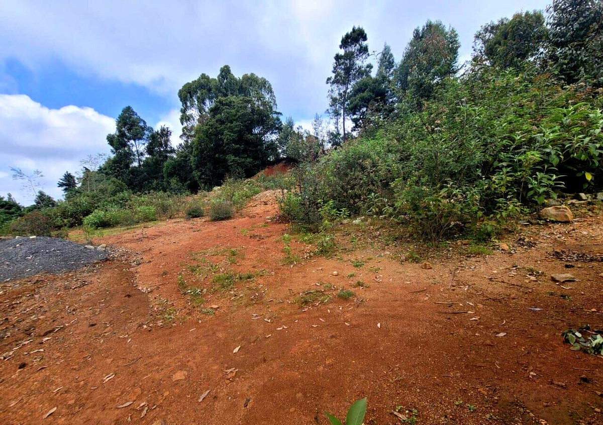 10-Acre Redhill Gem at KSh 250M