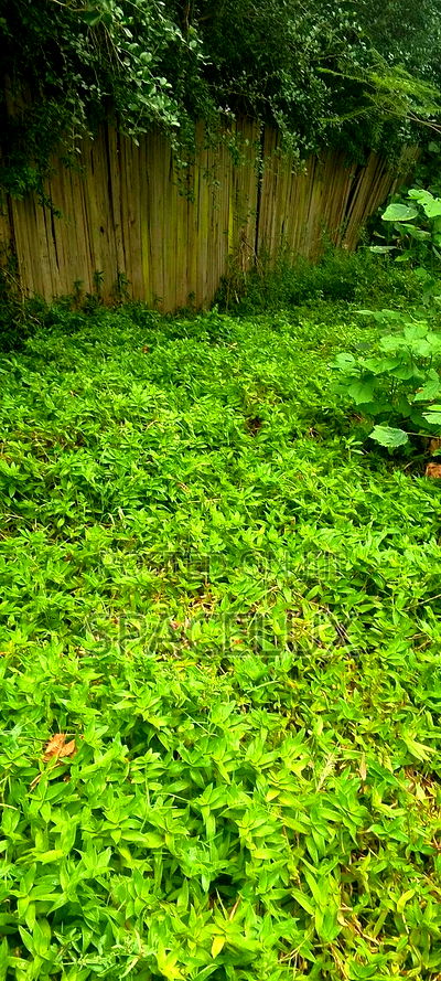 O.125acres Office Building Rent Income Pa Month 1m Westlands - Image 2