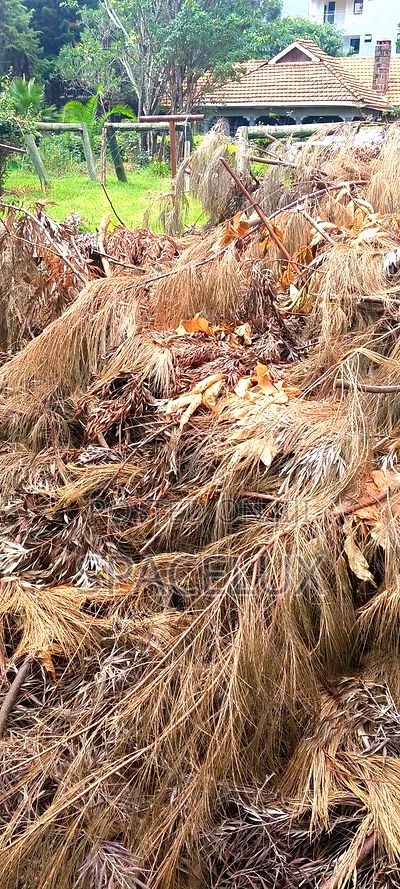 O.125acres Office Building Rent Income Pa Month 1m Westlands - Image 4