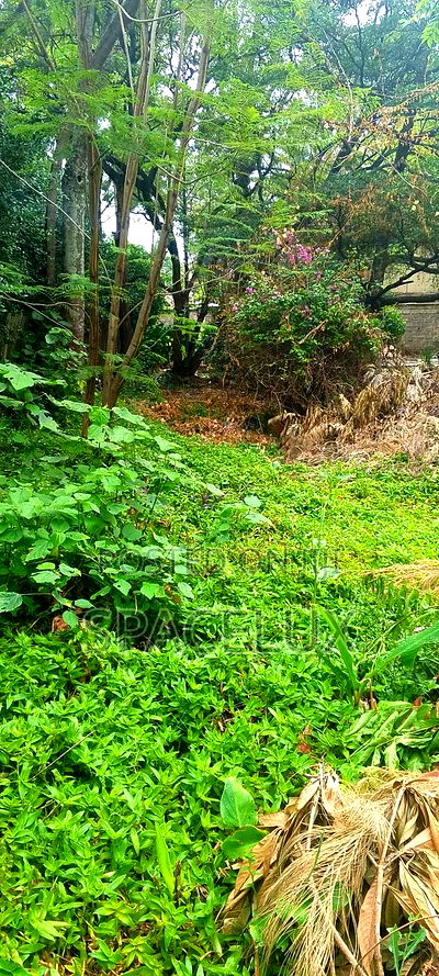 O.125acres Office Building Rent Income Pa Month 1m Westlands - Image 3