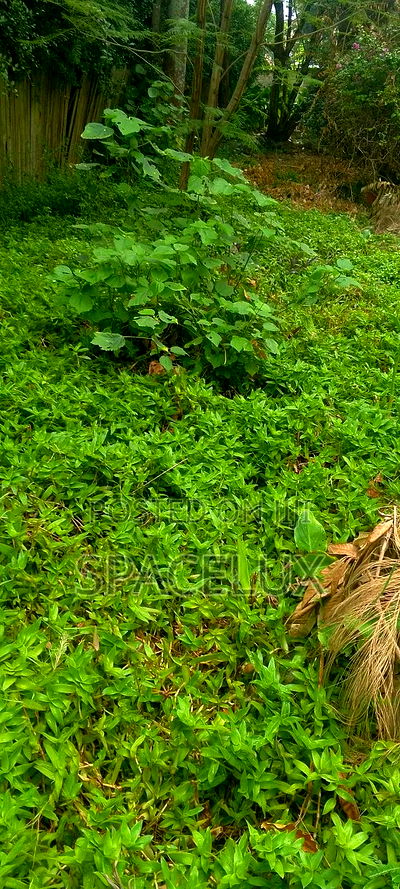 O.125acres Office Building Rent Income Pa Month 1m Westlands - Image 1