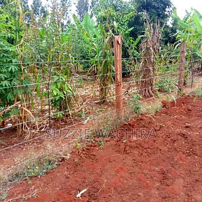 Makuyu 50*100ft Plots for Sale Near Muranga Teacher's - Image 7