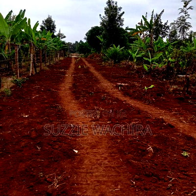 Makuyu 50*100ft Plots for Sale Near Muranga Teacher's - Image 2